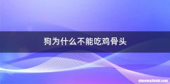 狗为什么不能吃鸡骨头