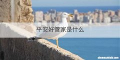 平安好管家是什么
