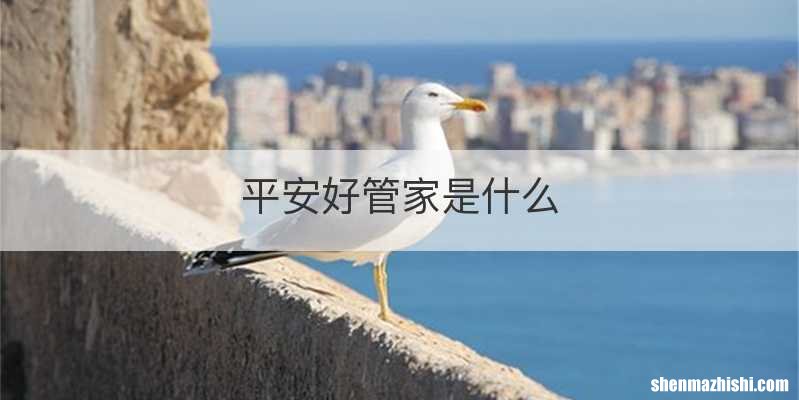 平安好管家是什么
