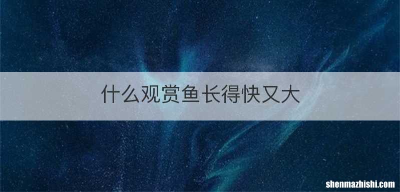什么观赏鱼长得快又大