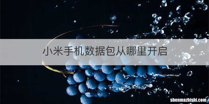 小米手机数据包从哪里开启