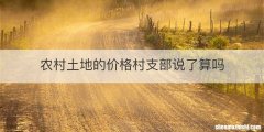 农村土地的价格村支部说了算吗