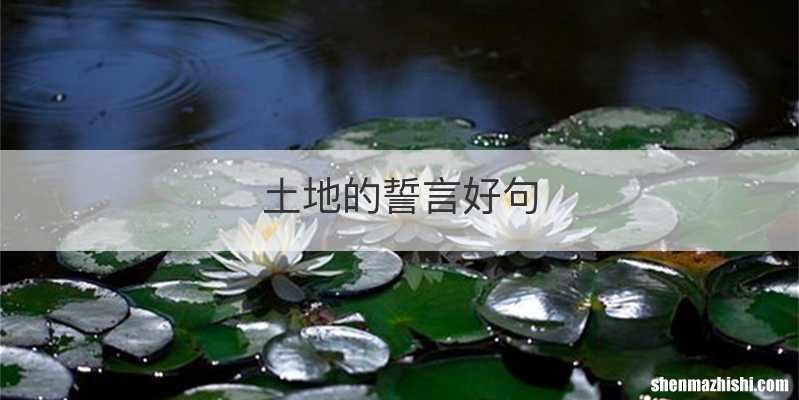 土地的誓言好句
