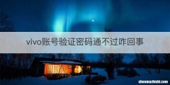 vivo账号验证密码通不过咋回事