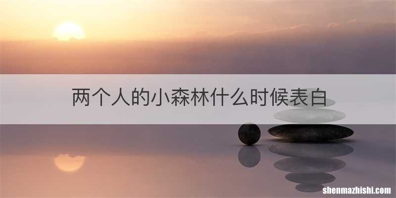 两个人的小森林什么时候表白