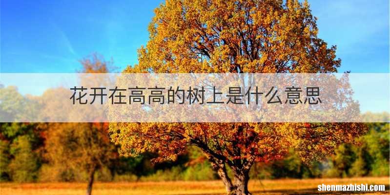 花开在高高的树上是什么意思