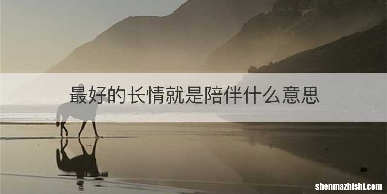 最好的长情就是陪伴什么意思