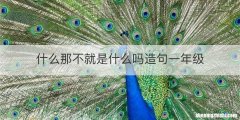 什么那不就是什么吗造句一年级