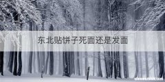 东北贴饼子死面还是发面