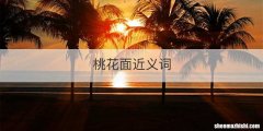 桃花面近义词