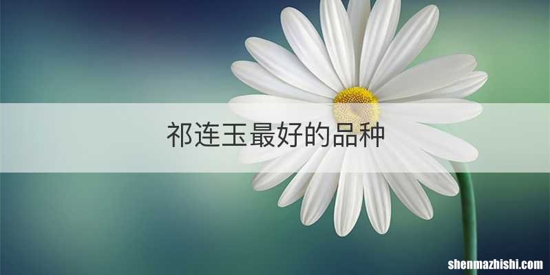 祁连玉最好的品种