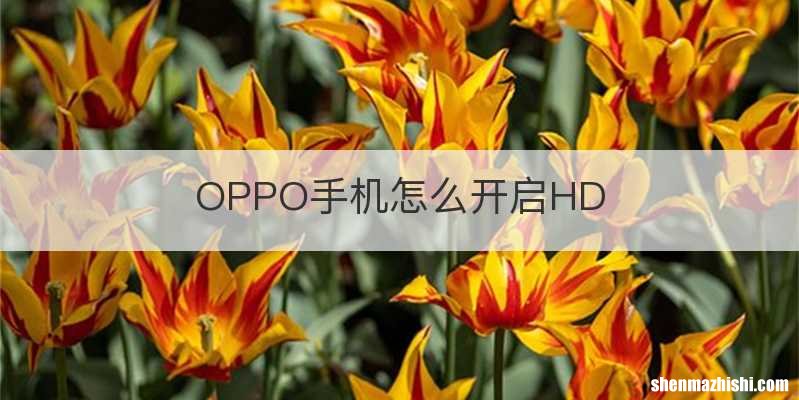 OPPO手机怎么开启HD