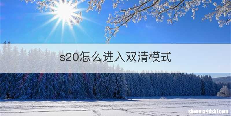 s20怎么进入双清模式