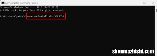 修复Windows中不支持的处理器蓝屏错误
