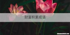 财富积累成语