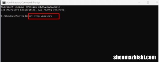 修复Windows11中语言包下载卡住的问题
