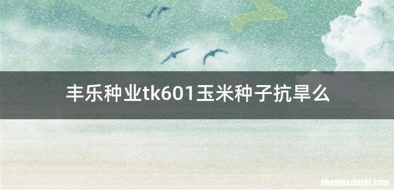 丰乐种业tk601玉米种子抗旱么