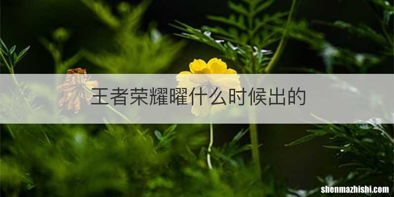 王者荣耀曜什么时候出的