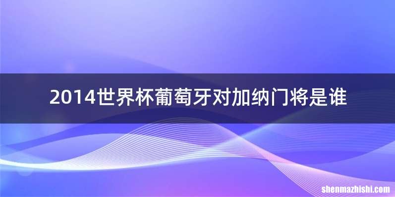 2014世界杯葡萄牙对加纳门将是谁