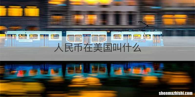 人民币在美国叫什么