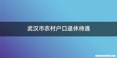武汉市农村户口退休待遇