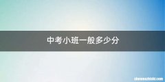 中考小班一般多少分