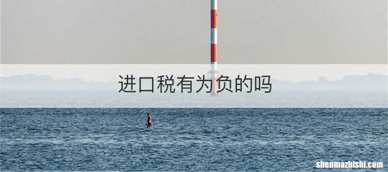 进口税有为负的吗