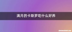 满月的卡斯罗吃什么好养