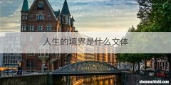 人生的境界是什么文体