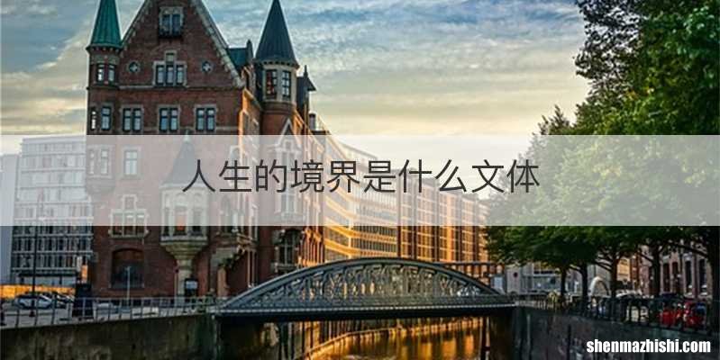 人生的境界是什么文体