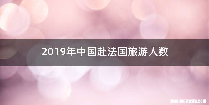 2019年中国赴法国旅游人数