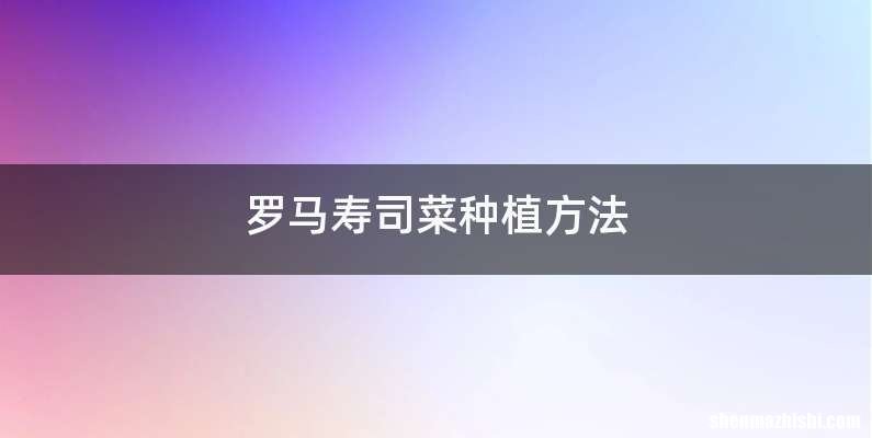 罗马寿司菜种植方法