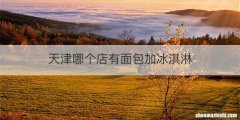 天津哪个店有面包加冰淇淋