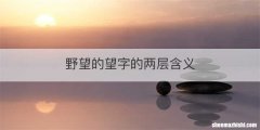 野望的望字的两层含义