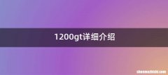 1200gt详细介绍