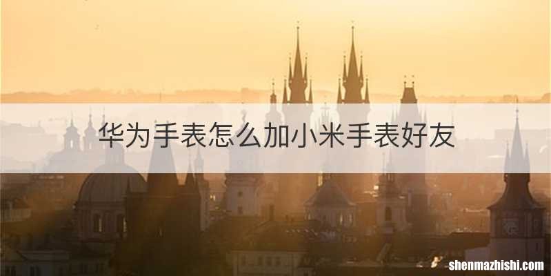 华为手表怎么加小米手表好友