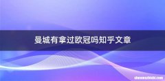 曼城有拿过欧冠吗知乎文章