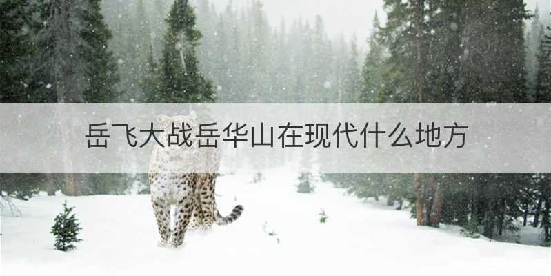 岳飞大战岳华山在现代什么地方