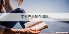 索爱声卡是杂牌吗