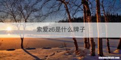 索爱z6是什么牌子