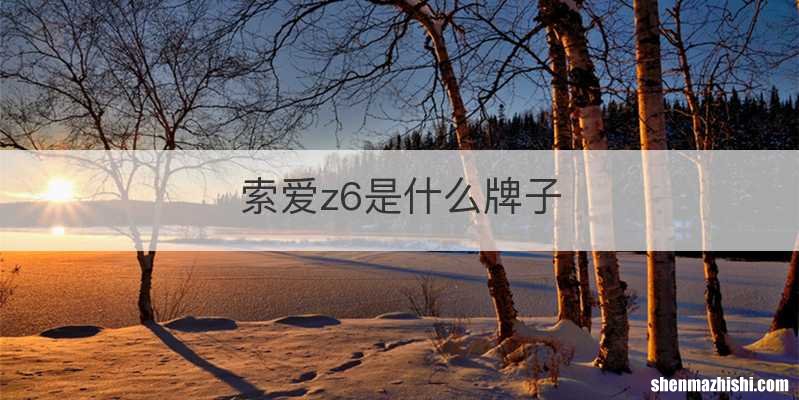 索爱z6是什么牌子