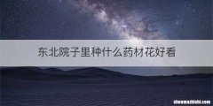 东北院子里种什么药材花好看