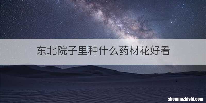 东北院子里种什么药材花好看