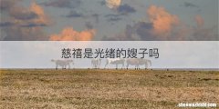 慈禧是光绪的嫂子吗