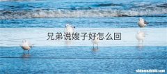 兄弟说嫂子好怎么回