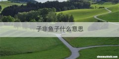 子非鱼子什么意思