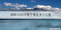 消耗1200卡等于慢走多少公里