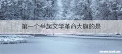 第一个举起文学革命大旗的是