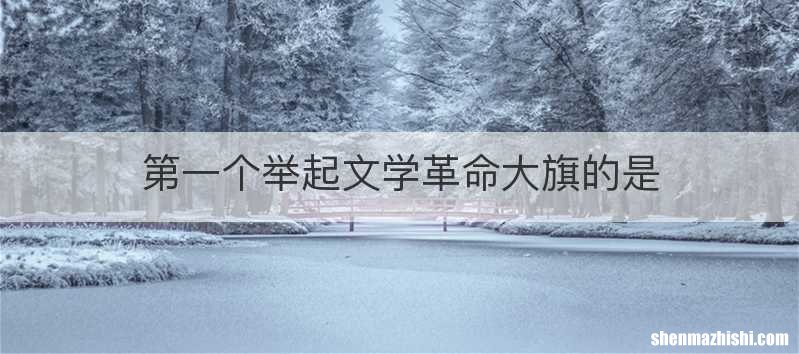 第一个举起文学革命大旗的是