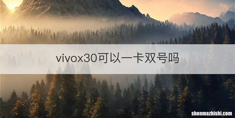 vivox30可以一卡双号吗